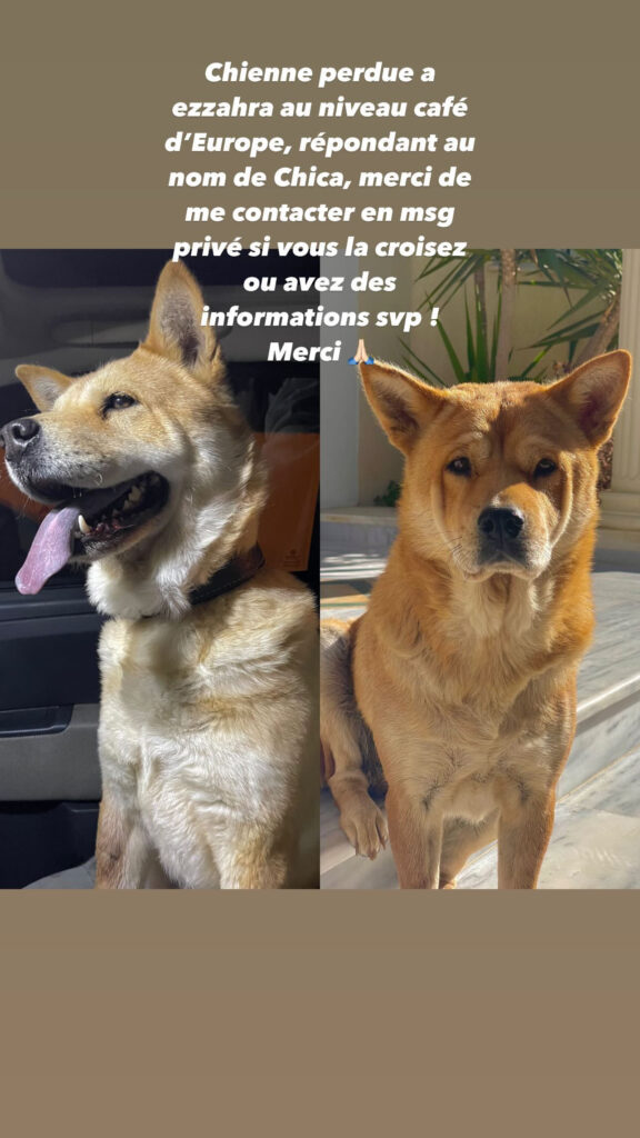 82D0D4FC-5160-4F88-B4FB-D9ED97E01DB1