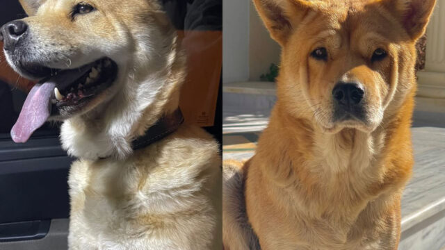 82D0D4FC-5160-4F88-B4FB-D9ED97E01DB1